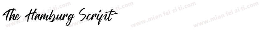The Hamburg Script字体转换